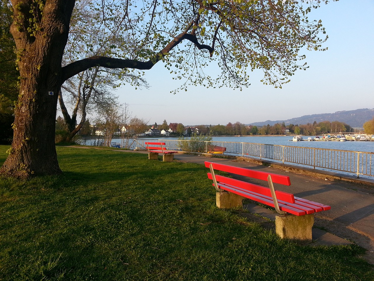 巴薩正全力 巴薩正全力