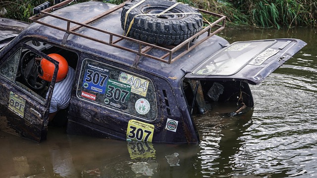 实属不易 实属不易
