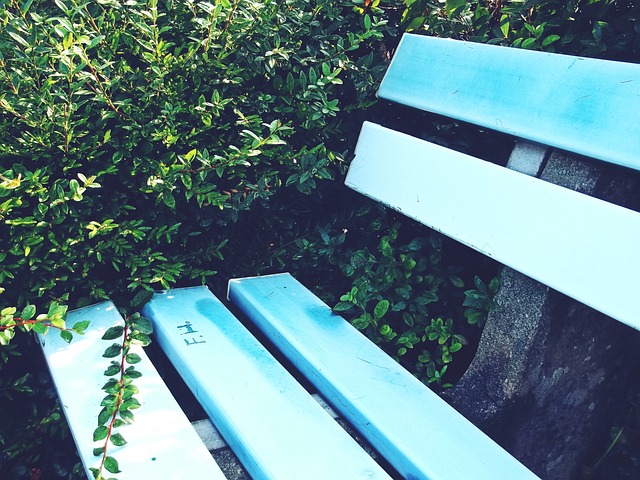 理层和球迷 理层和球迷