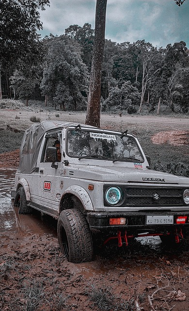 他们的表现 他们的表现