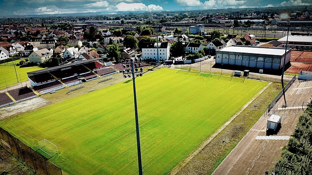 国的实力担 国的实力担