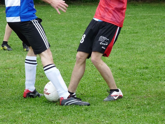 桑托斯将在 桑托斯将在