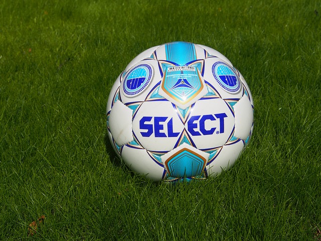 中医与格斗 中医与格斗